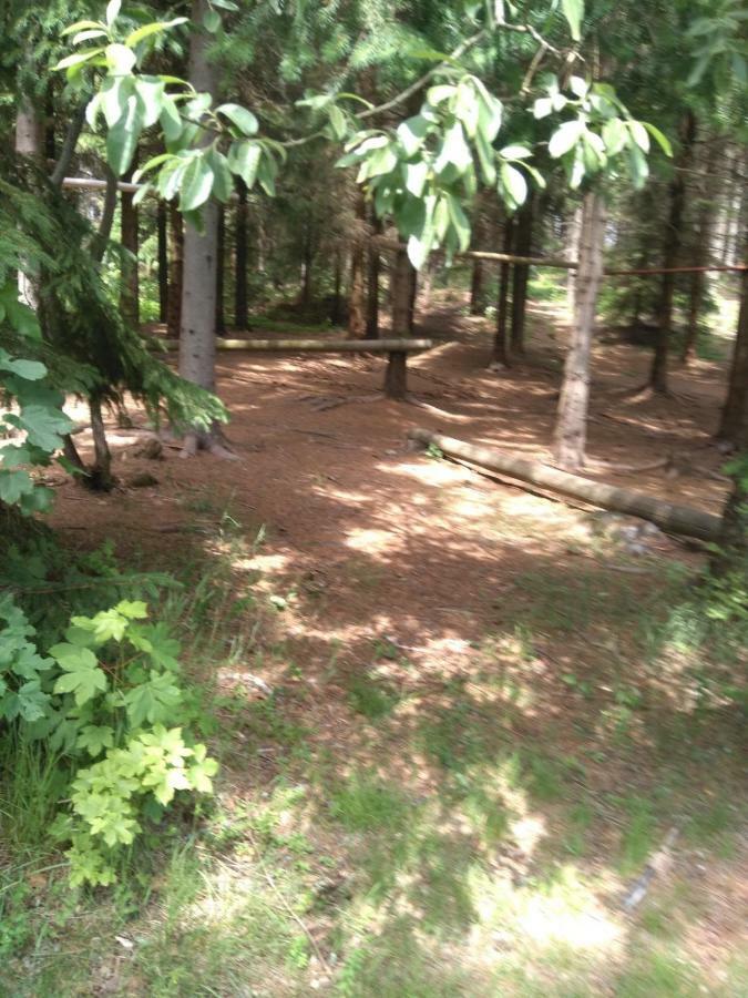 Penzion Borovice Josefuv Dul Bagian luar foto